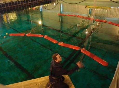 Pelamis ‘sea snake’ advances bring down wave power costs