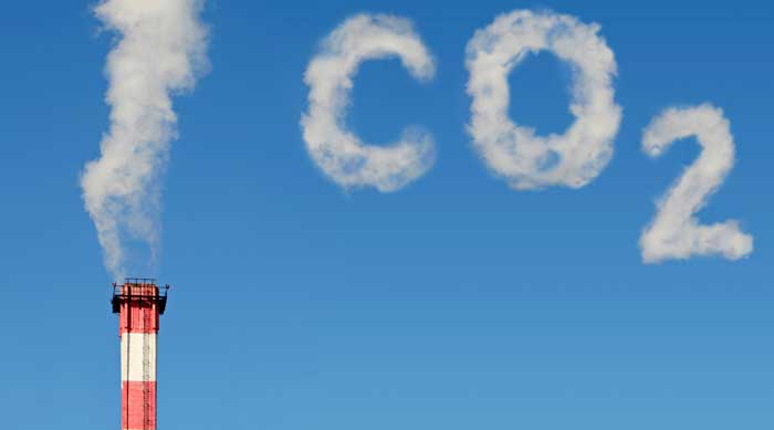 CCS developers clinging on despite lack of policy support, MPs hear