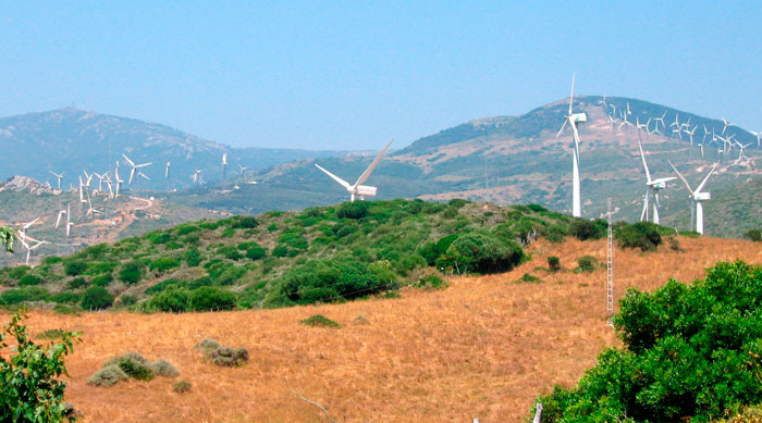 Iberdrola follows EDF into green bond market with €750m issue