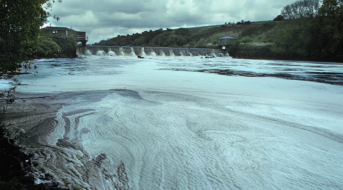 Severn Trent and Northumbrian Water fined for pollution