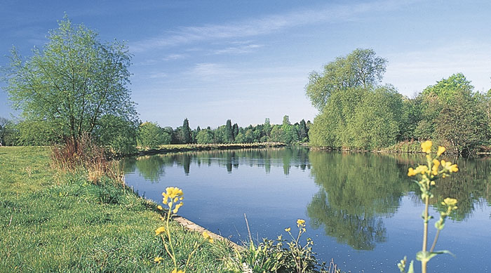 EU auditors:  CAP should take better account of water issues