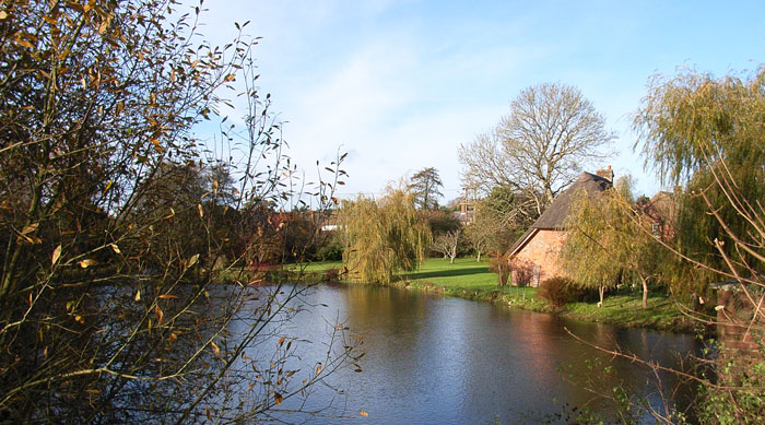 Thames Water plans £25m pipeline to protect chalk stream