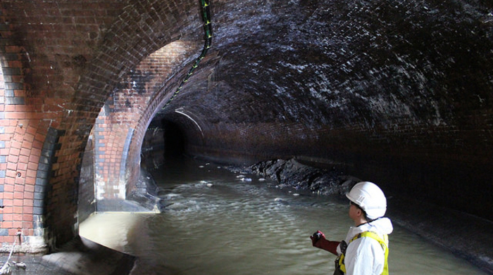 Blog: Down the drain