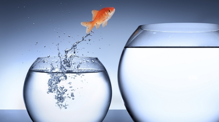 Blog: all change please…