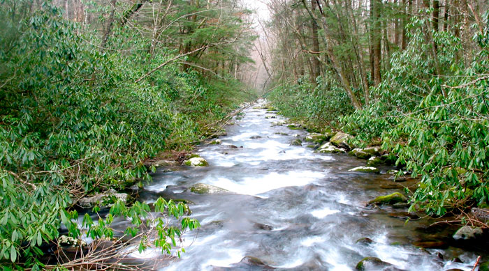 Catchment if you can
