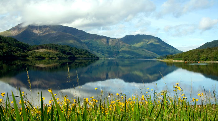 Small Scottish renewables crippled