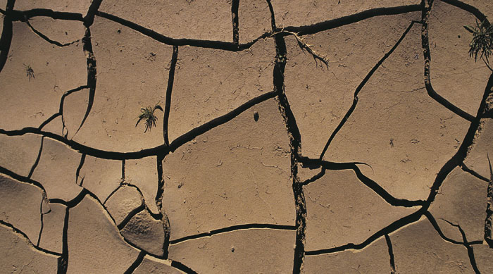 Water companies play down drought fears