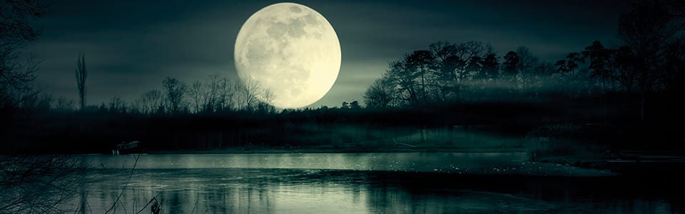Reflections on a dark week for the water sector