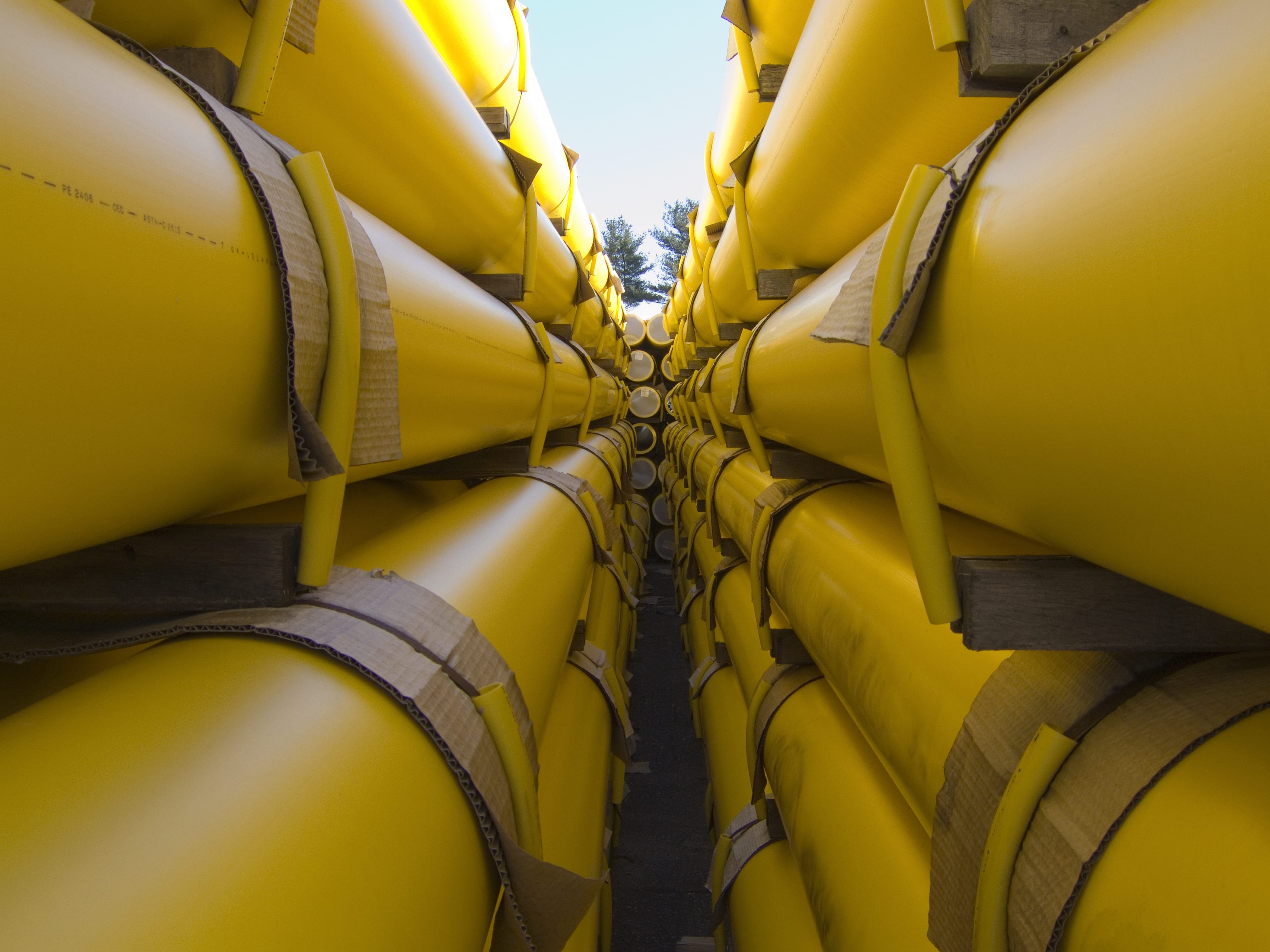 Lack of political will biggest barrier to hydrogen networks