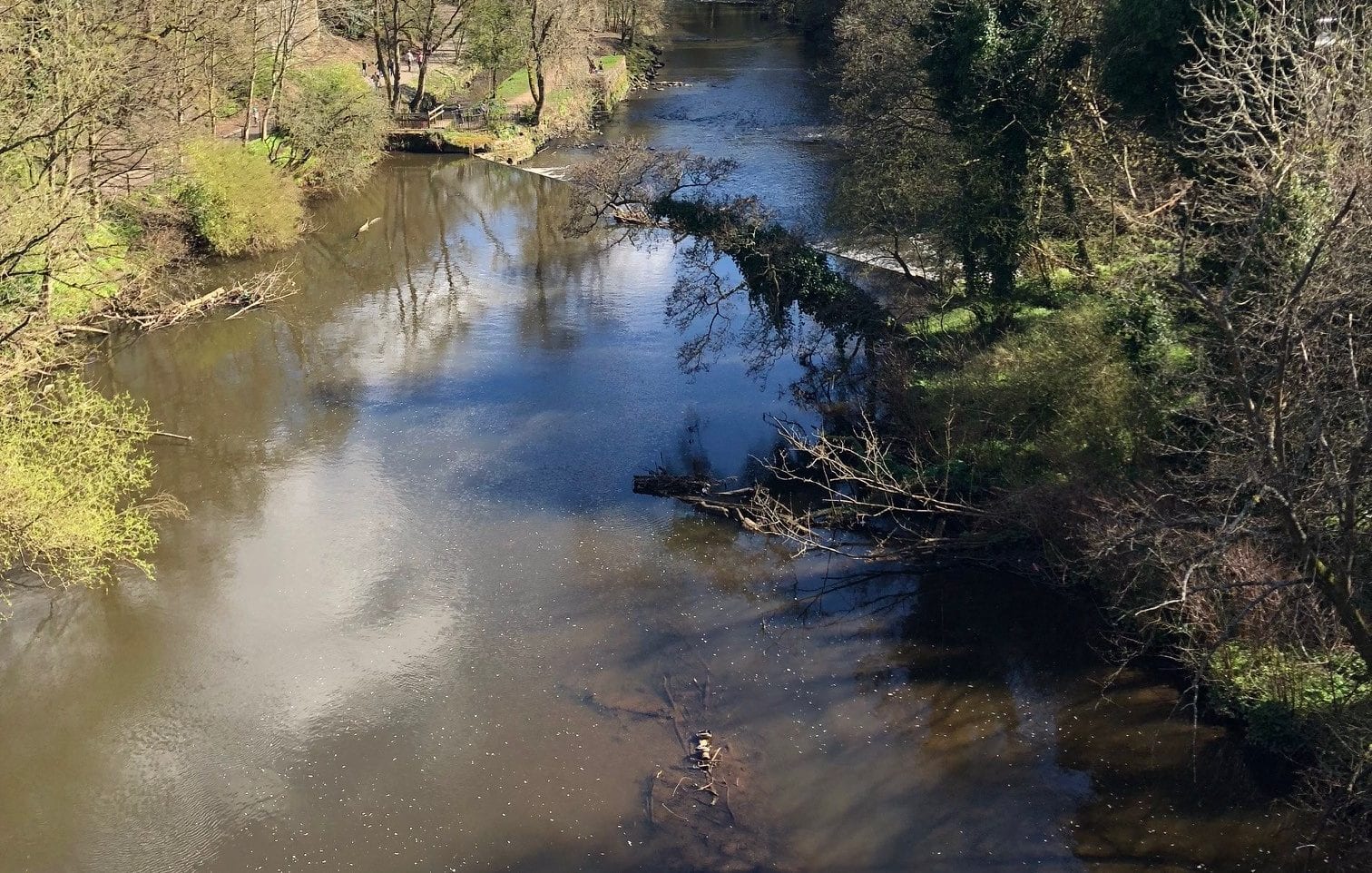Water spending should align with post-Brexit farm subsidy