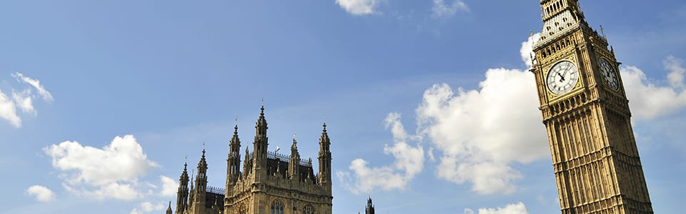 What we hope to see in the next Energy White Paper