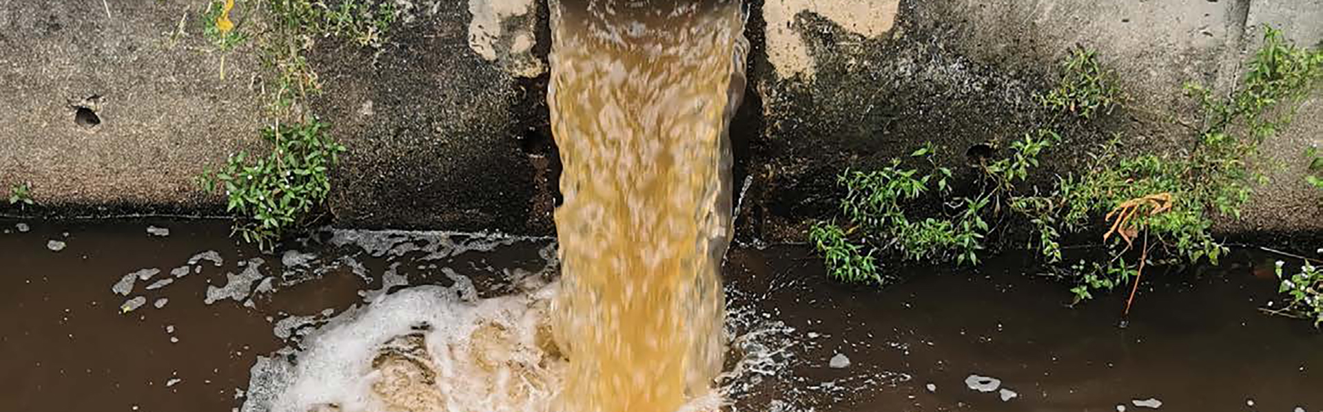 Severn Trent begins £450m network upgrade to tackle storm overflow spills