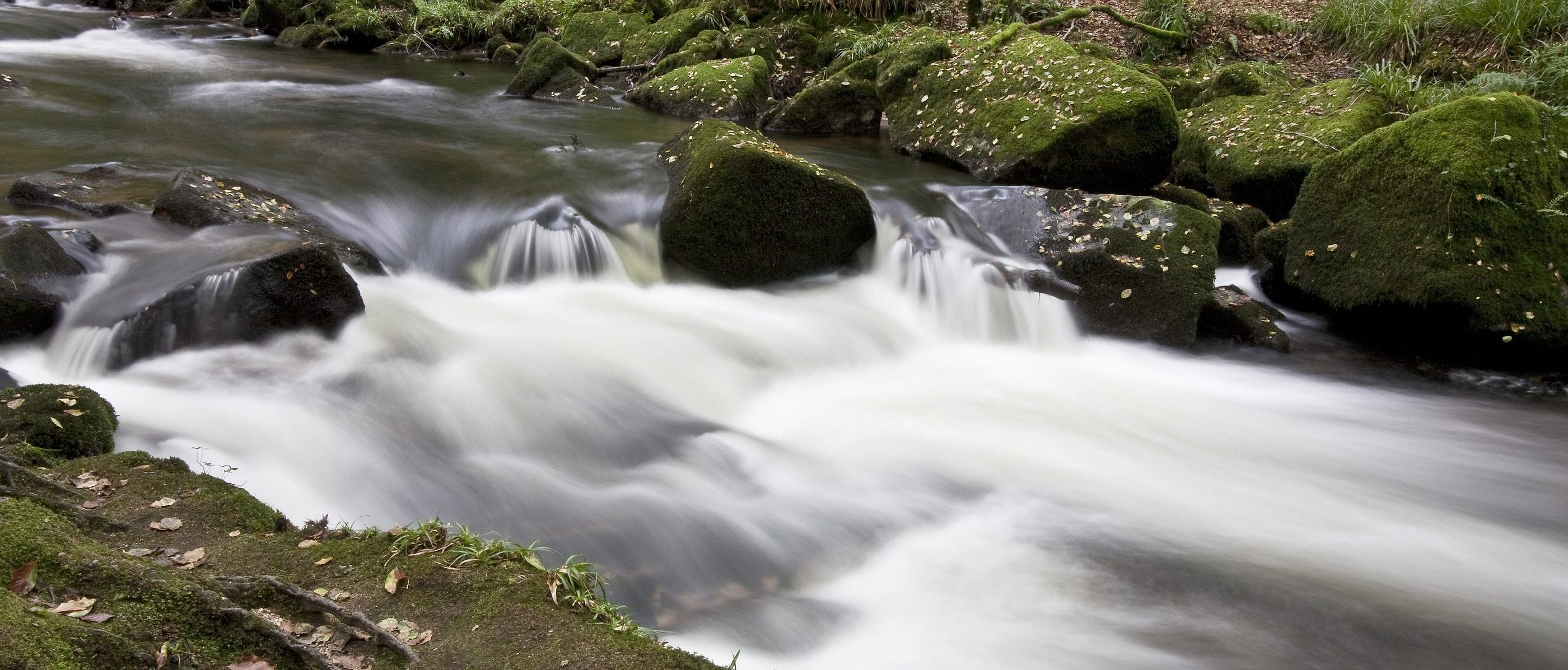 Anglian environment boss urges water companies to digitalise river monitoring